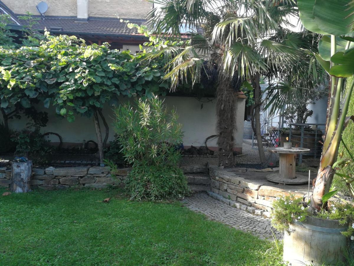 Bed and Breakfast Haus Bienen Ihringen Esterno foto