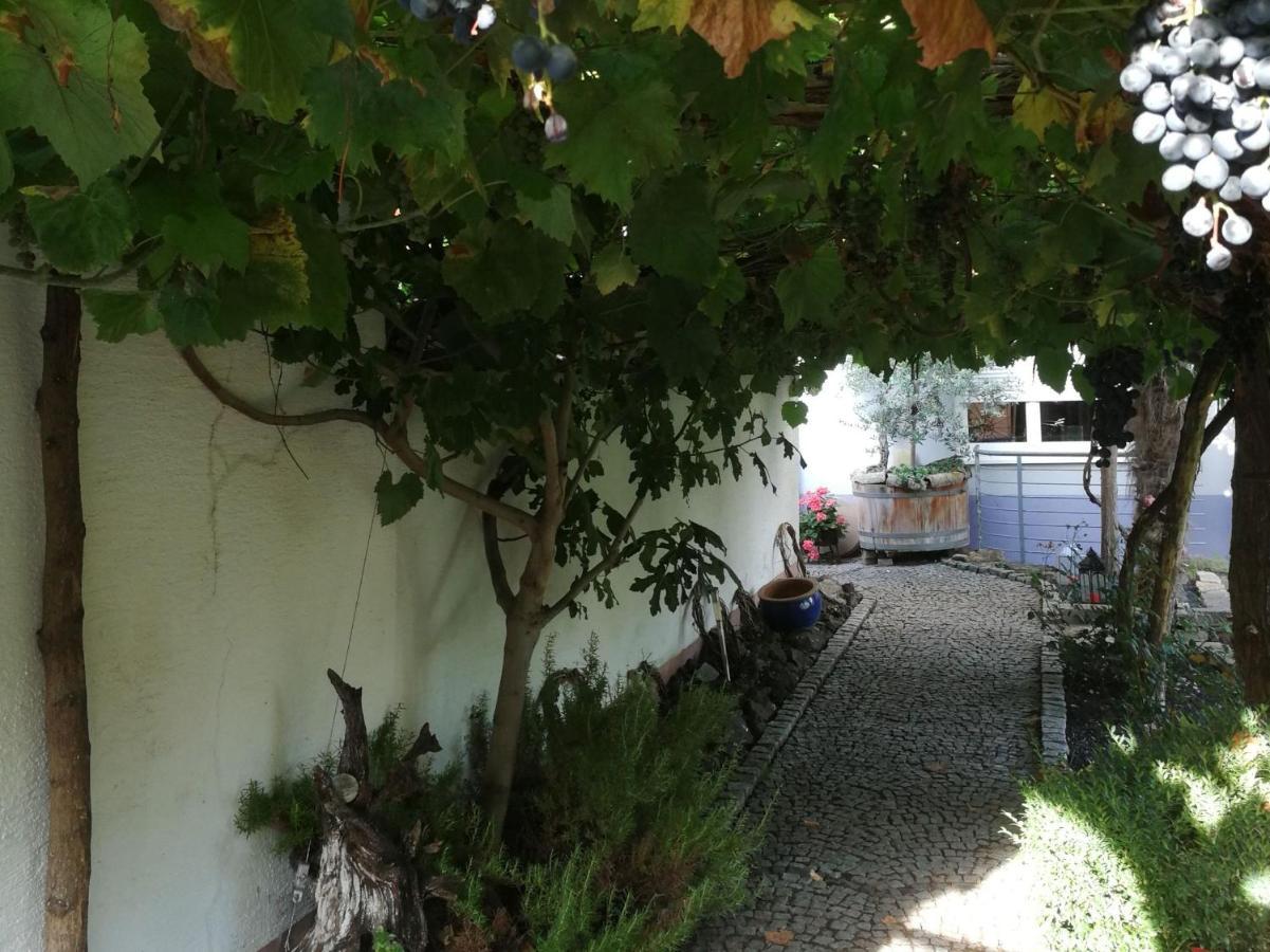 Bed and Breakfast Haus Bienen Ihringen Esterno foto